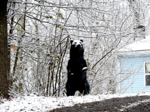 Snowy weather may return mid-week